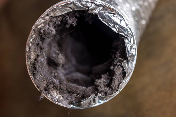 Best Air Duct Mold Removal  in Mayflower Village, CA