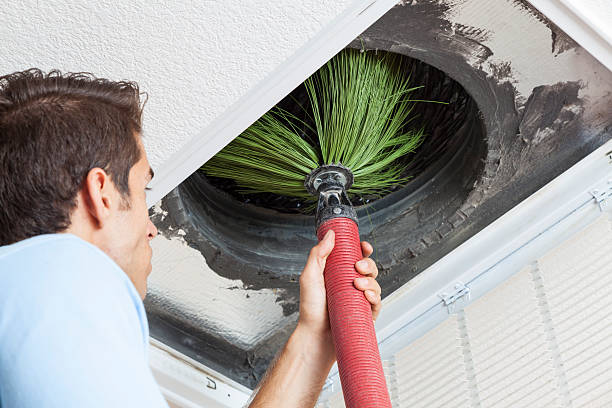 Best Affordable Duct Cleaning Services  in Mayflower Village, CA